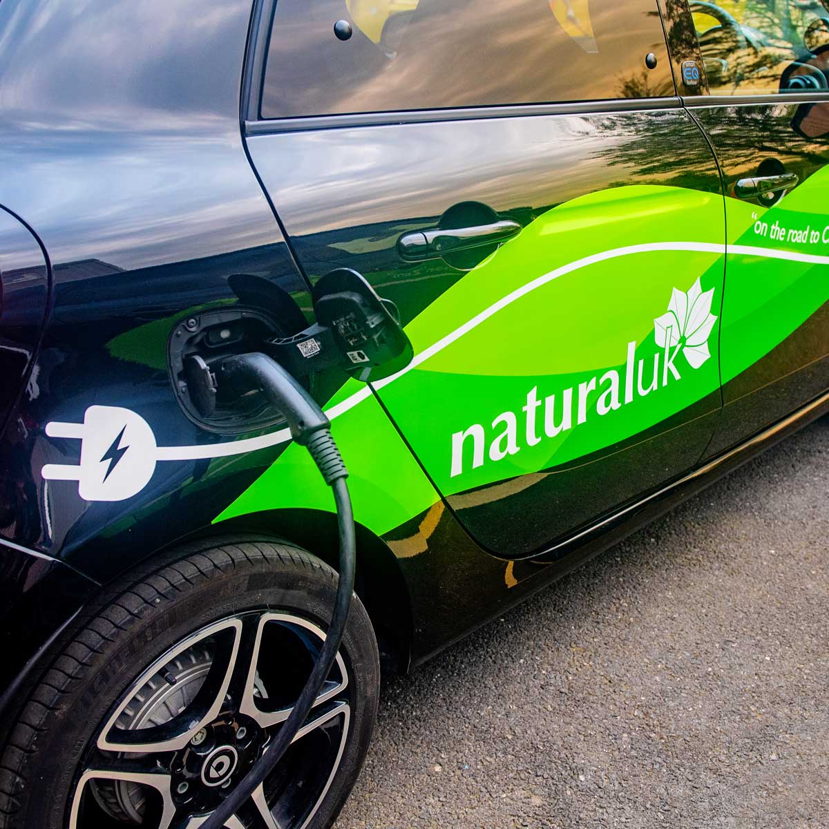 About-Natural-2025